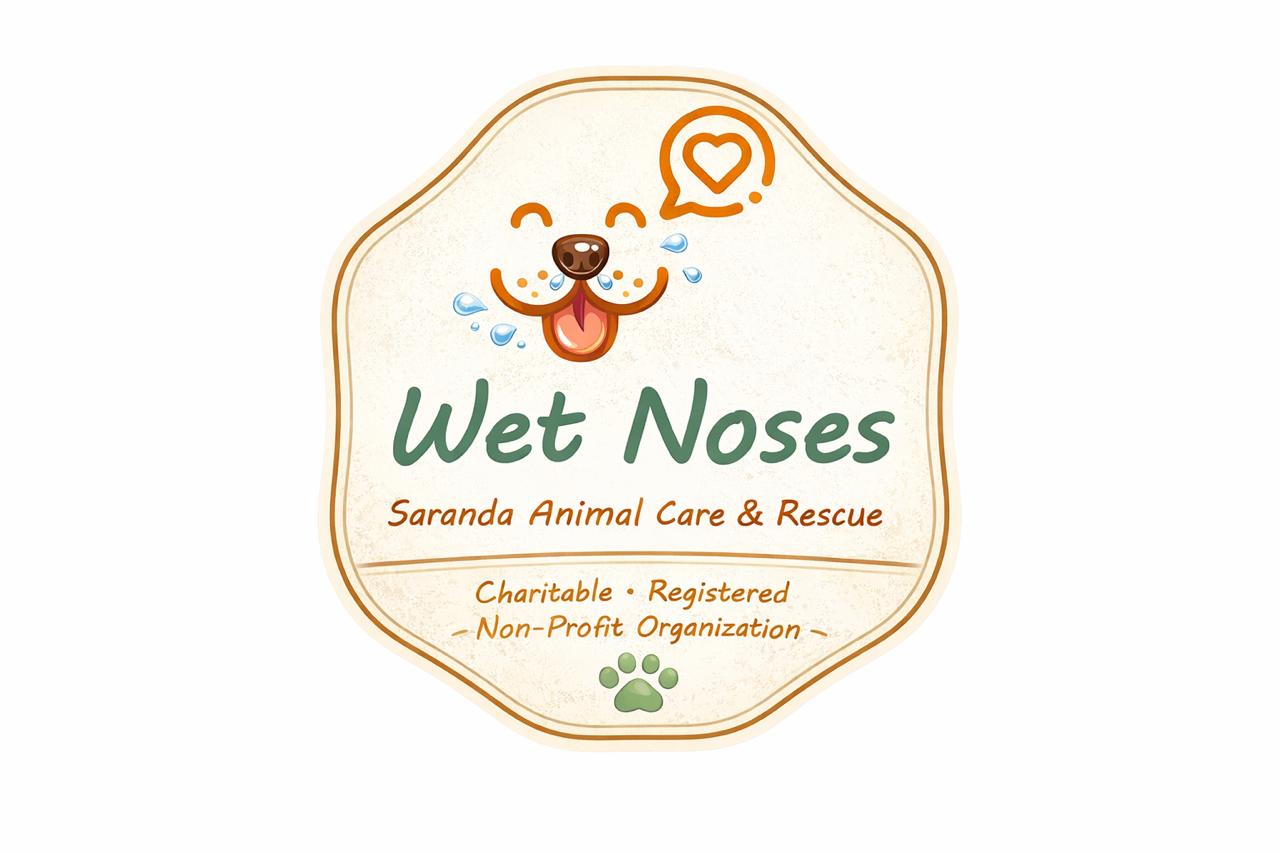 Wet Noses Saranda
